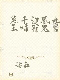 慕千汐凰九夜邪王嗜宠鬼医狂妃免费阅读