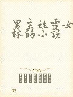 男主姓霍女主姓林的小说