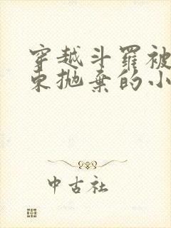 穿越斗罗被比比东抛弃的小说