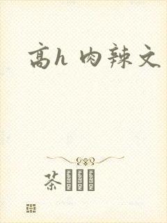高h 肉辣文