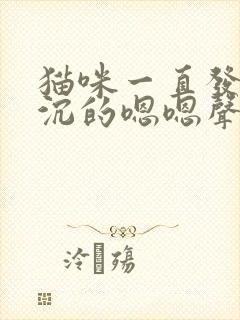 猫咪一直发出低沉的嗯嗯声封面