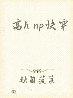 高h np快穿