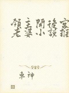 领主开后宫多位老婆小说推荐