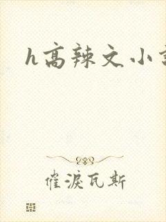 h高辣文小说封面