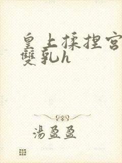 皇上揉捏宫女的双乳h封面