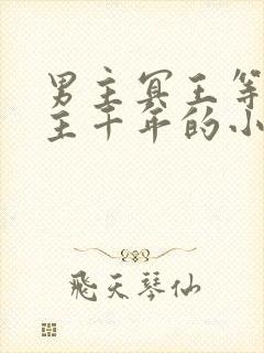 男主冥王等了女主千年的小说封面