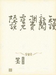 陆霆渊许知夏小说免费阅读最新章节