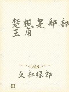 楚枫是哪部小说主角封面