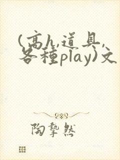 (高h,道具,各种play)文