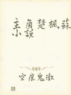 主角楚枫苏柔的小说