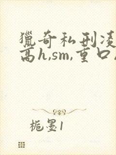 猎奇私刑凌虐(高h,sm,重口)小说