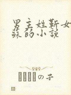 男主姓靳女主姓苏的小说