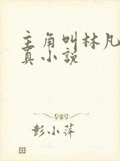 主角叫林凡的修真小说