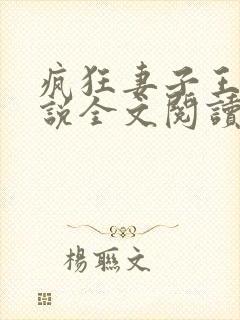 疯狂妻子王慧小说全文阅读封面