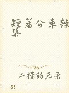 短篇公车辣文合集