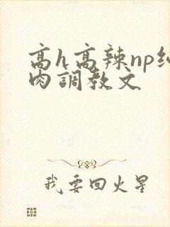 高h高辣np纯肉调教文