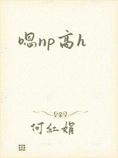 嗯np高h