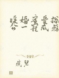 暖婚蜜爱总裁老公一宠成瘾