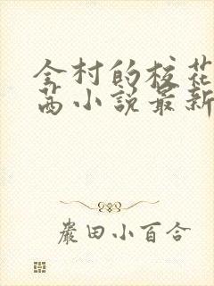 全村的校花叶茜茜小说最新章节封面