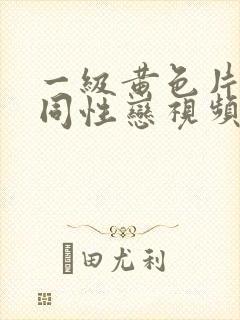 一级黄色片男士同性恋视频