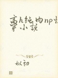 高h纯肉np快穿小说