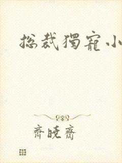 总裁独宠小娇妻