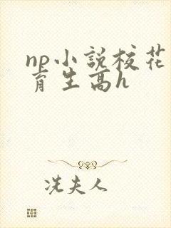 np小说校花体育生高h封面