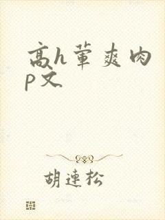 高h荤爽肉〈np文