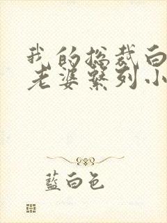 我的总裁白富美老婆系列小说