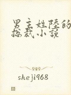 男主姓陆的豪门总裁小说