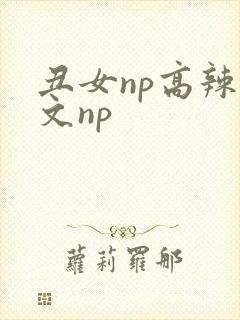 丑女np高辣h文np