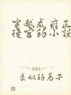 穿越成雍正极品后宫的小说