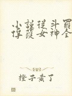 小说从斗罗开始俘获女神全文阅读封面