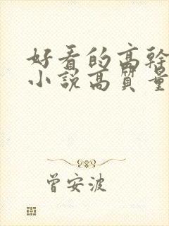 好看的高干言情小说高质量文笔好