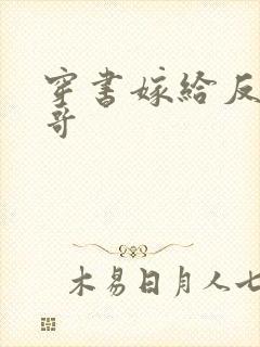 穿书嫁给反派他哥