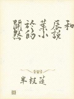 关于叶辰和萧初然的小说