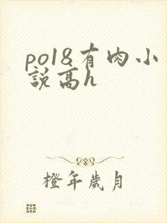 po18有肉小说高h封面