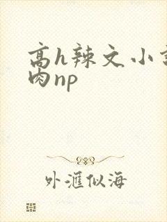 高h辣文小说纯肉np