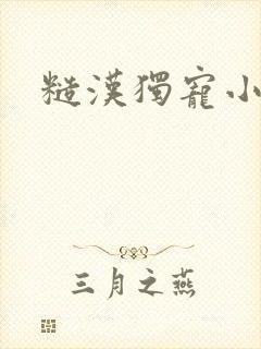 糙汉独宠小娇妻