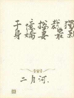 千亿总裁独宠替身娇妻 最新章节