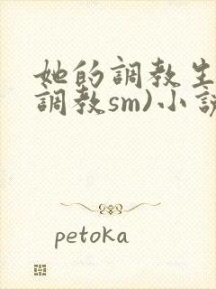 她的调教生活(调教sm)小说