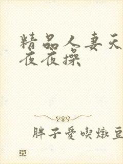 精品人妻天天操夜夜操