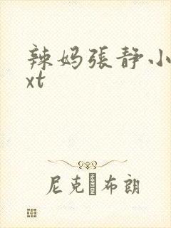 辣妈张静小说txt