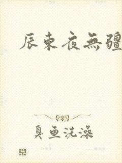 辰东夜无疆章节