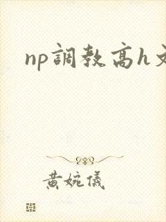 np调教高h文