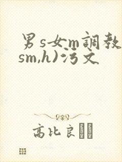 男s女m调教(sm,h)污文