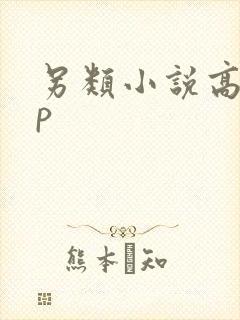 另类小说高hnp