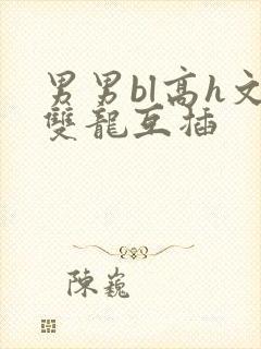 男男bl高h文双龙互插