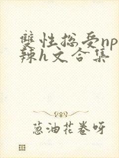 双性总受np高辣h文合集