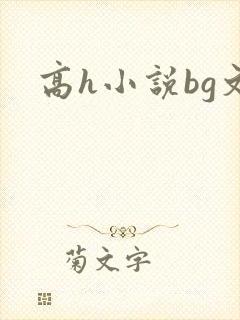 高h小说bg文